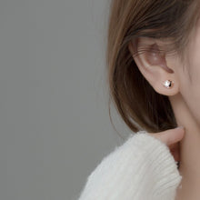 Load image into Gallery viewer, Zikonia Fisch Ohrstecker aus Silber