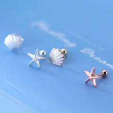 Load image into Gallery viewer, Seestern-Muschel Ohrstecker aus Silber