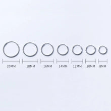 Load image into Gallery viewer, Silver Hoop Earrings