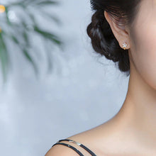 Load image into Gallery viewer, Stern Ohrringe aus Silber