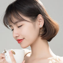 Load image into Gallery viewer, Hasen Ohrstecker aus Silber