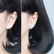 Load image into Gallery viewer, Steppenläufer Ohrstecker aus Silber