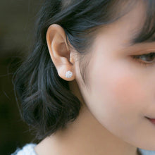 Load image into Gallery viewer, Steppenläufer Ohrstecker aus Silber