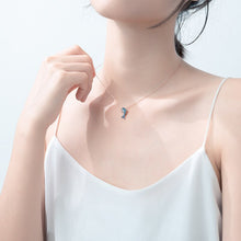 Load image into Gallery viewer, Delfin Halskette aus Silber